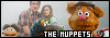 100x35 code