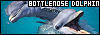 100x35 code