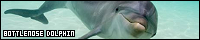 200x40 code
