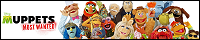 200x40 code