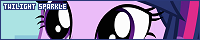 200x40 code