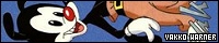 200x40 code
