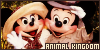 Animal Kingdom