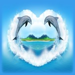 Dolphins: Bottlenose